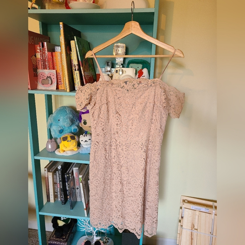 H&M Champagne Lace Strapless Dress 10